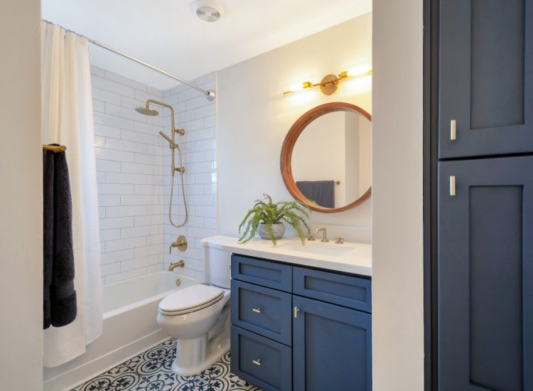 guest-bathroom-remodel-kekic-mariano-and-co-llc-img_a7714f260f172aa5_9-0298-1-4b6ac5d